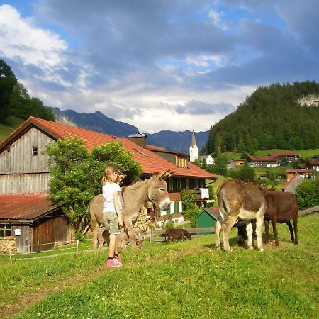 Haus Willi Lägenhet Oberstdorf Exteriör bild
